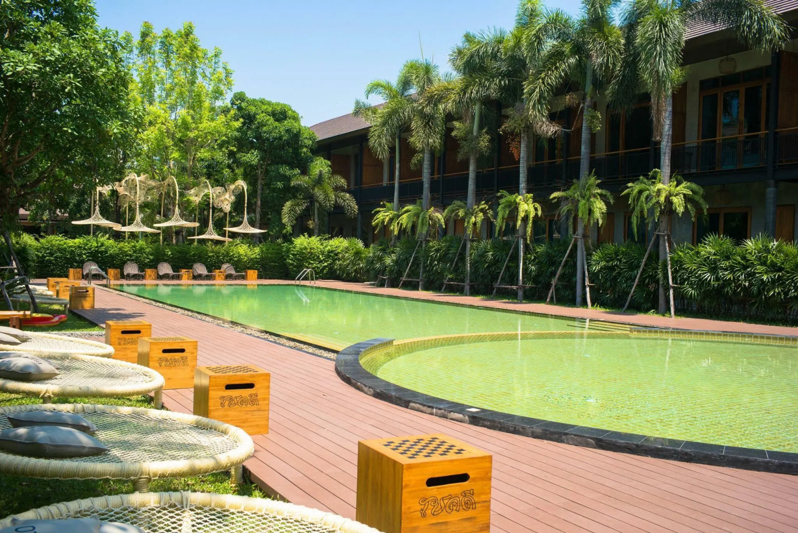 The Buffalo Amphawa (SHA Plus)