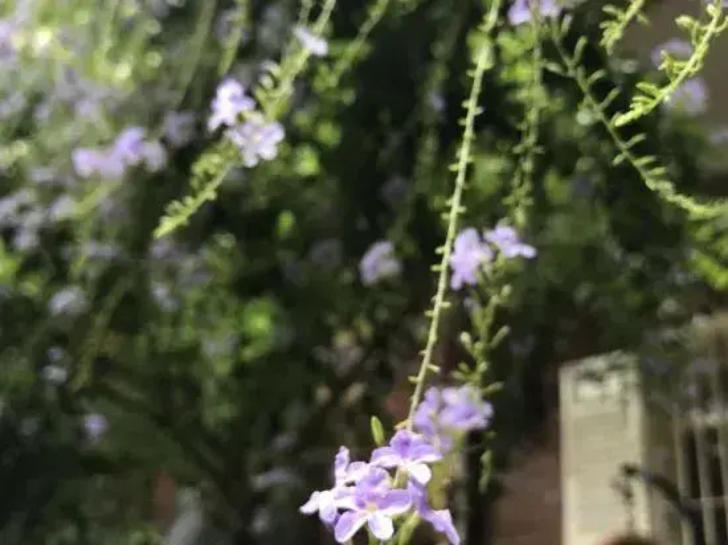 Yinxiang Minnan Hotel