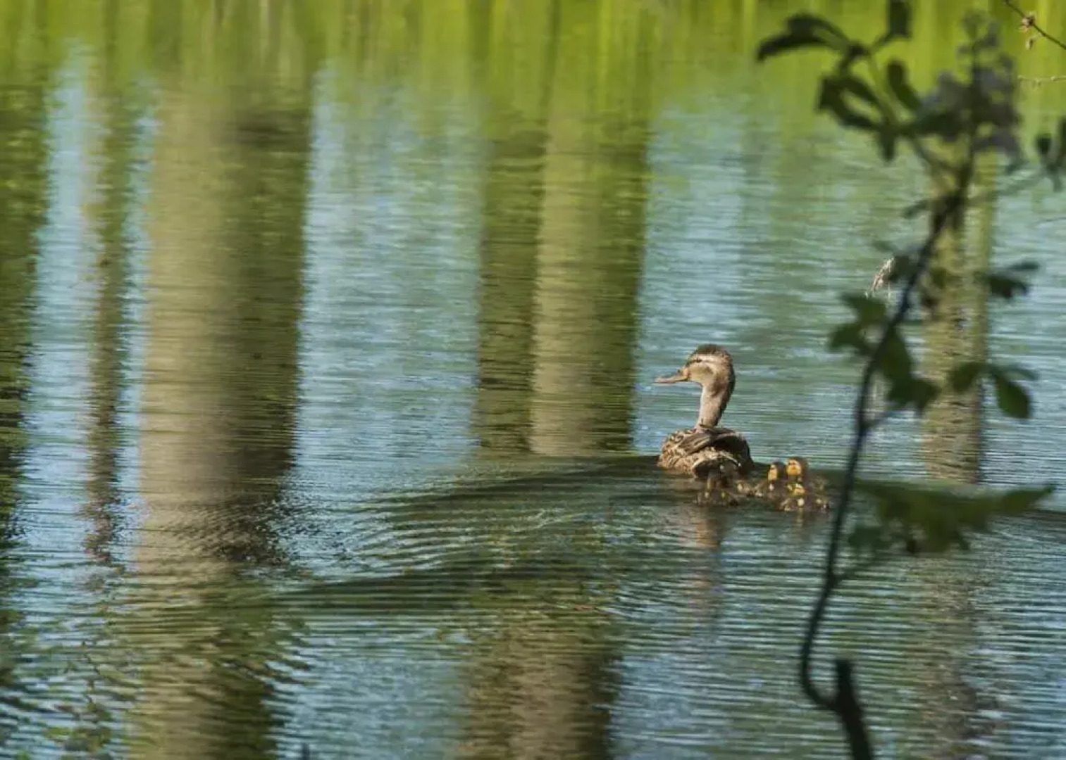 Romantik Hotel Gutshaus Ludorf
