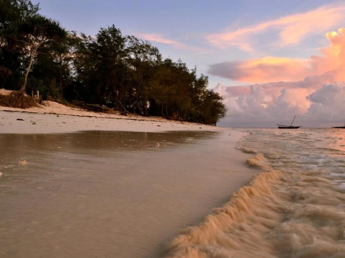 Nest Style Beach Hotel Zanzibar