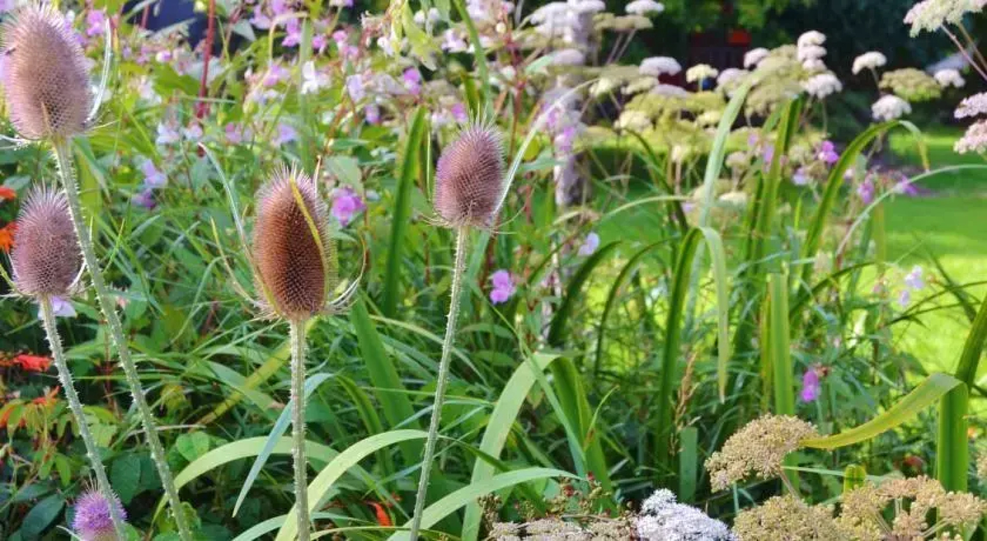 The Phoenix Vegetarian Restaurant & B&B