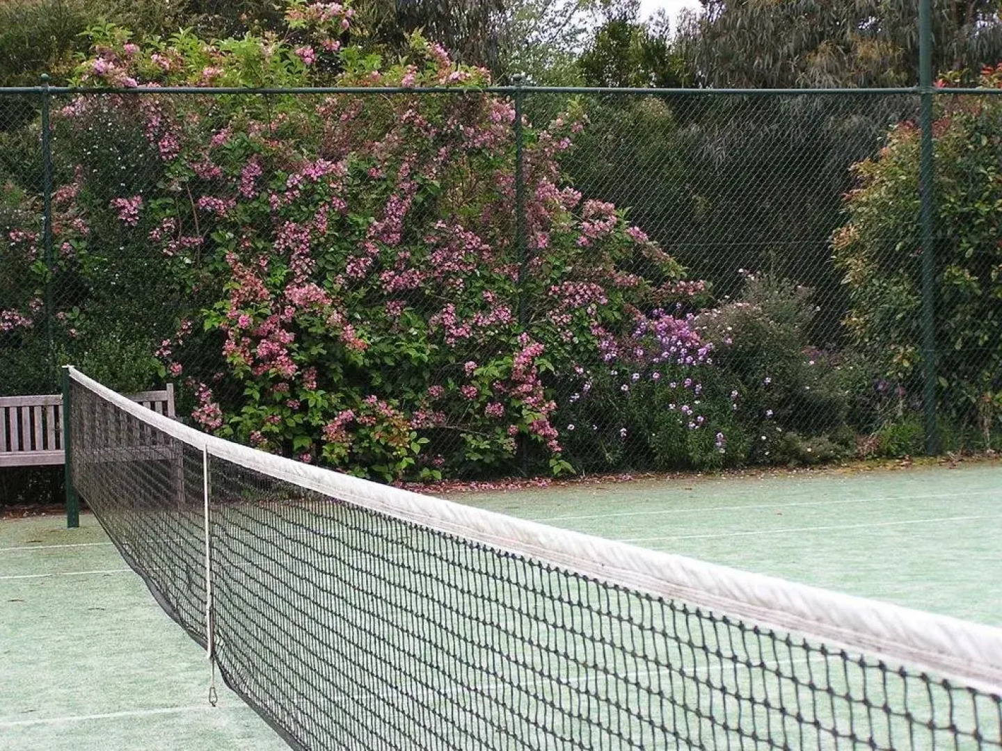 Lemonade Creek Cottages