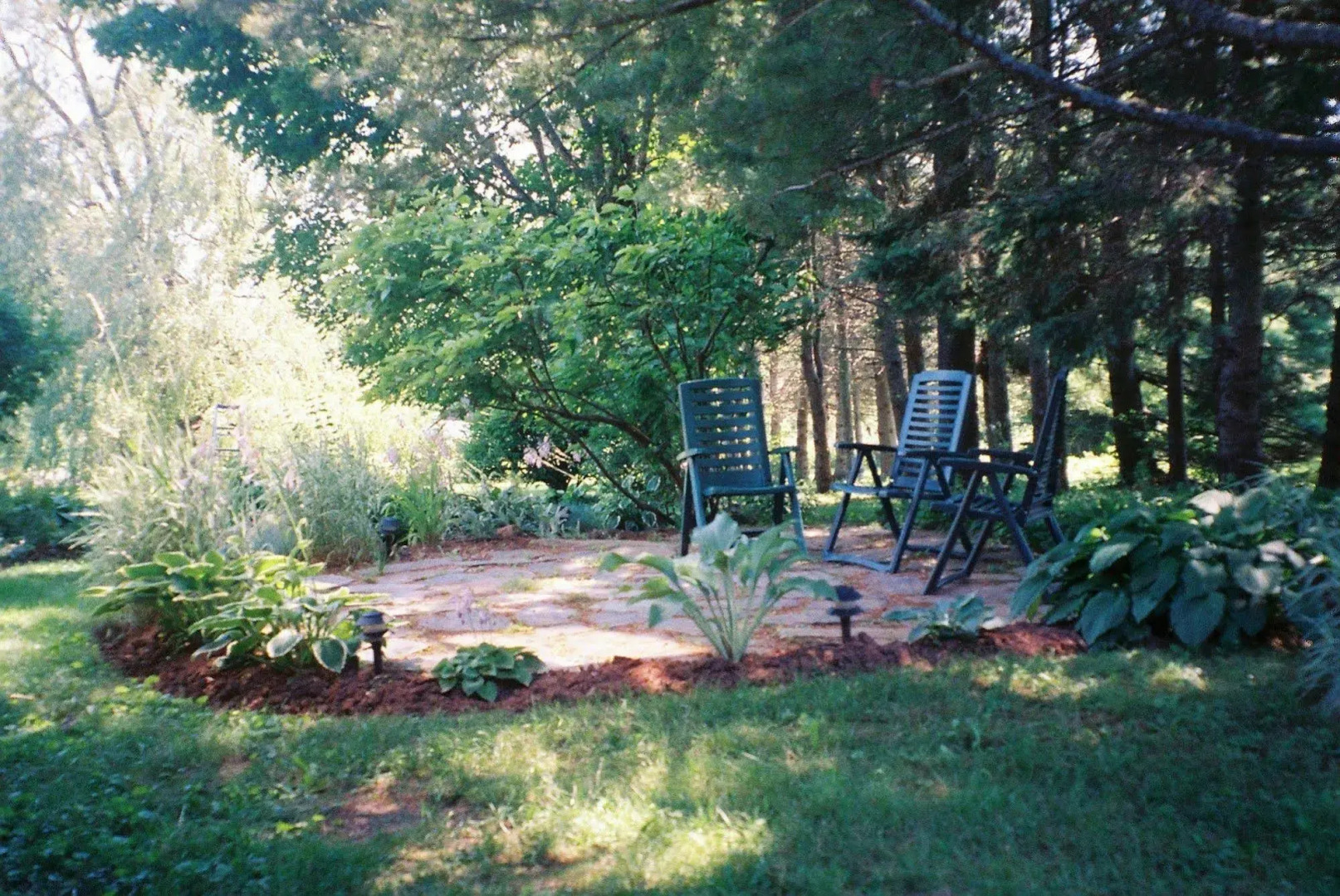 Tulips and Thistle B&B