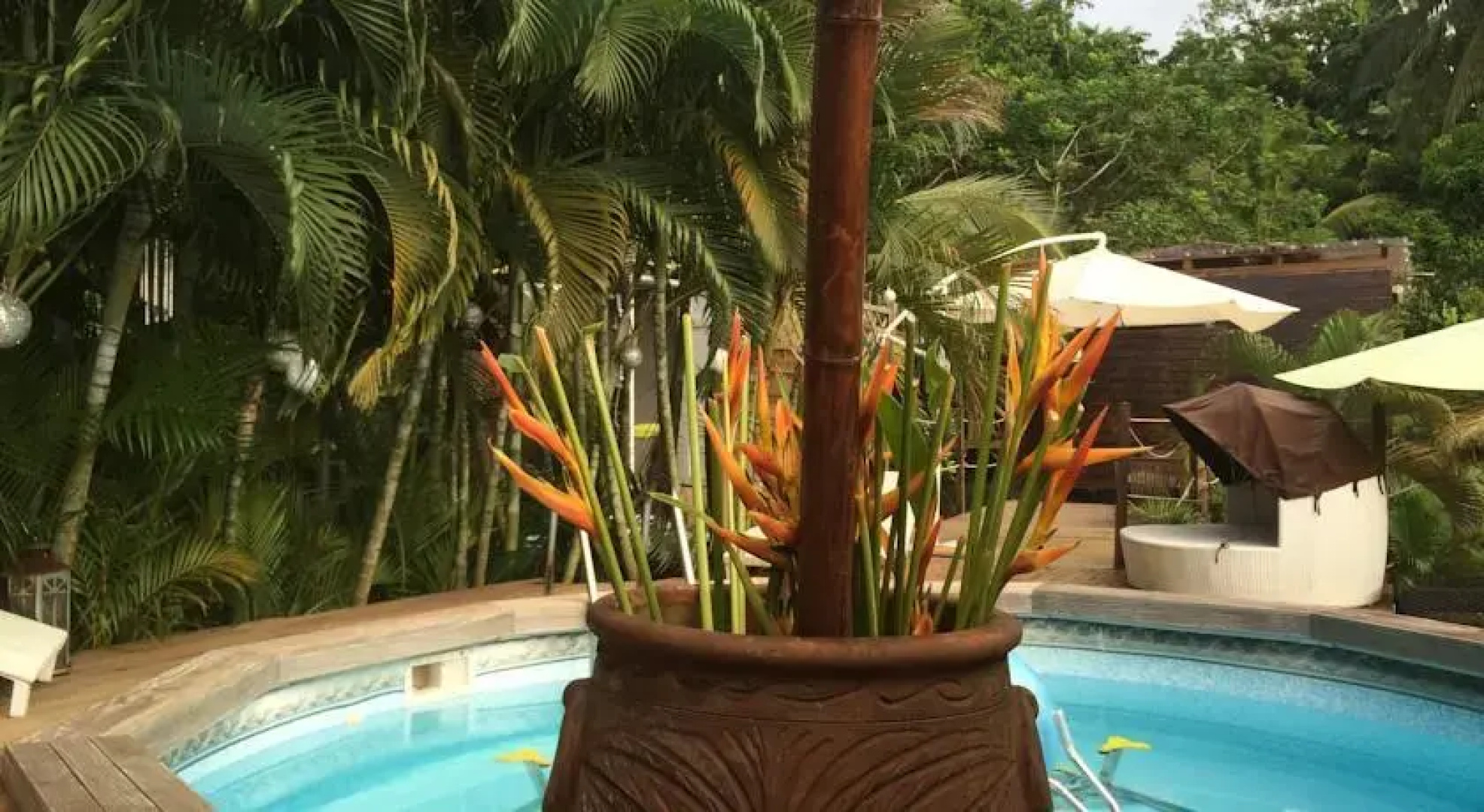Eden Paradise Spa