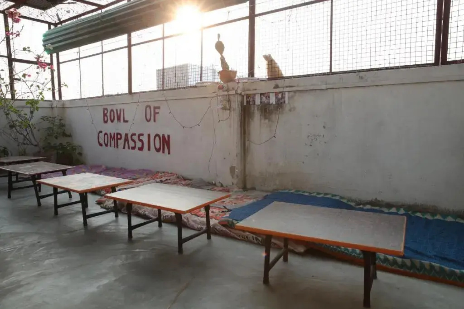 Somit Paying Guest House