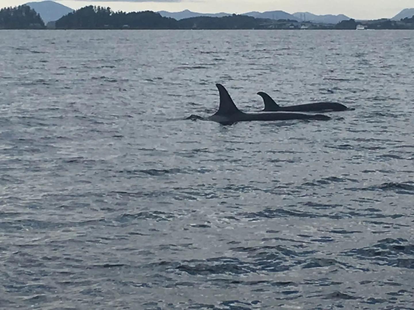 Sitka Hotel and Restaurant