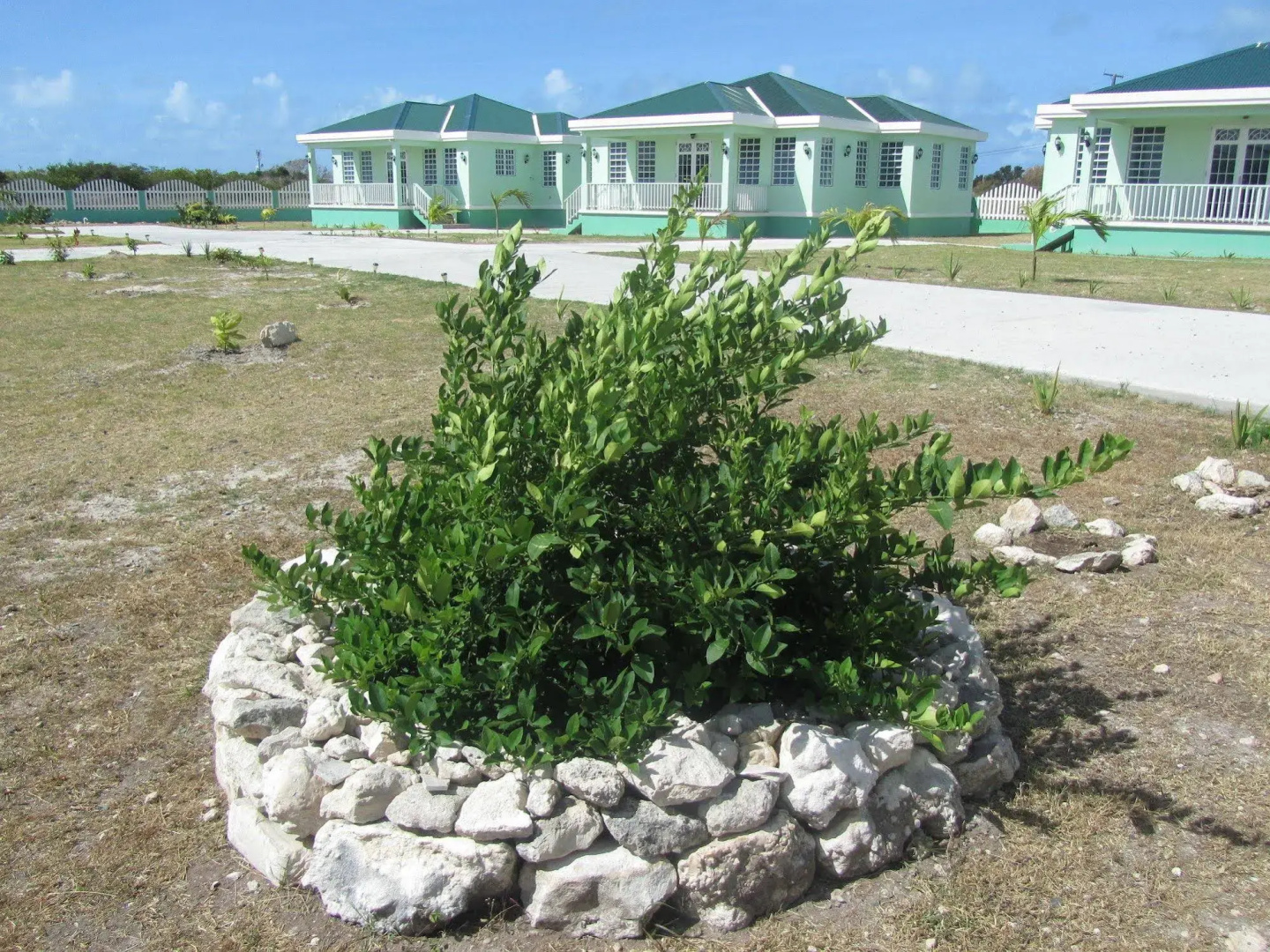 Sea Grape Villas