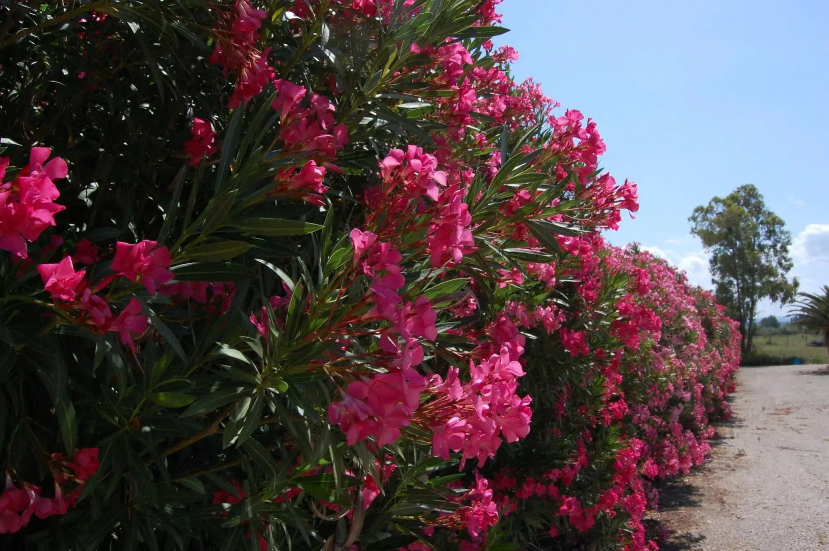 Agriturismo I Vigneti