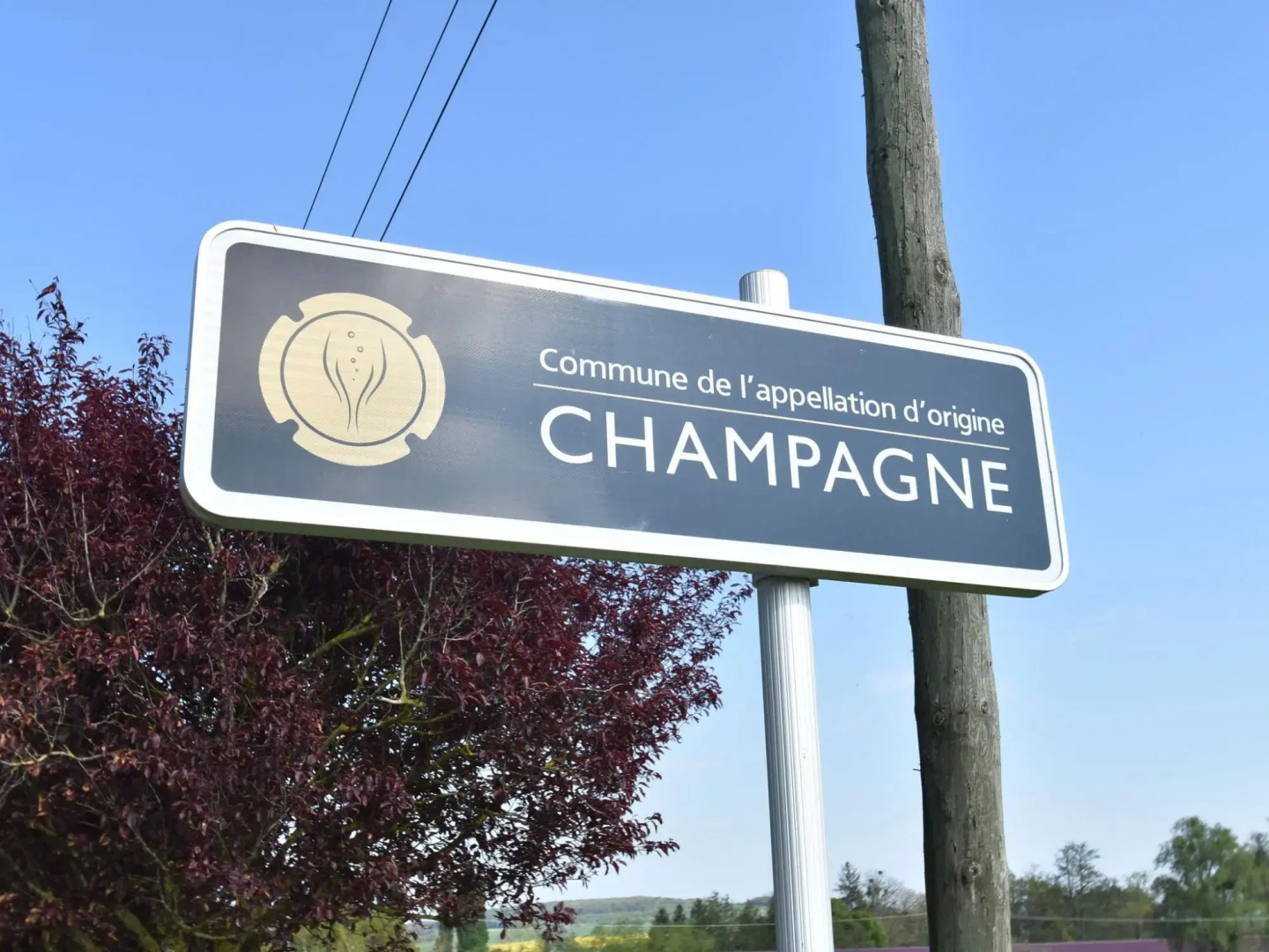 Romantic Gîte in Quiet Village for Champagne Lovers