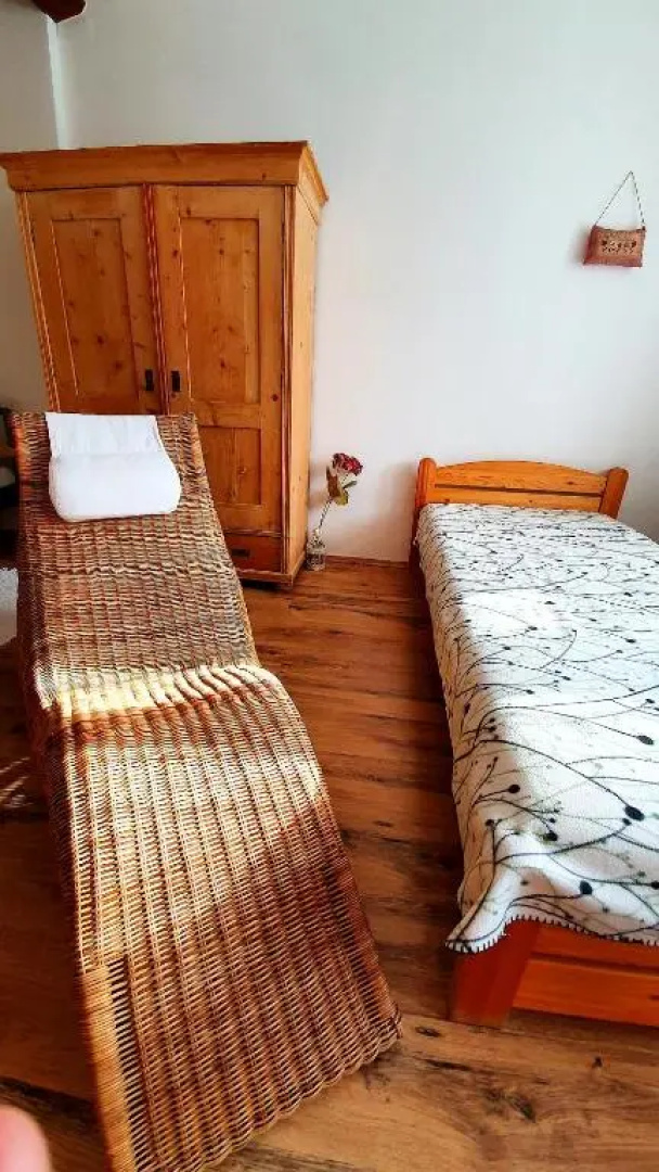 Bogyólak Palkonya