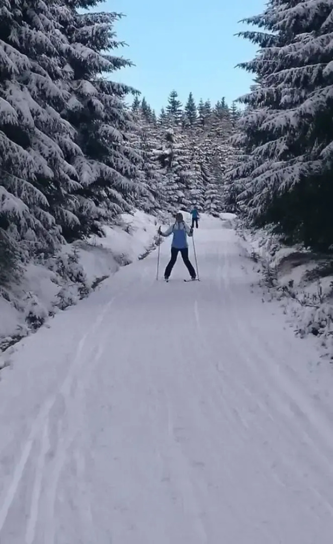 Daumler "house Am Weisswald"