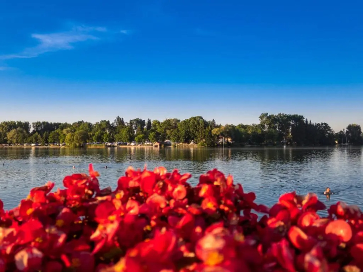 Chiemgau Appartement