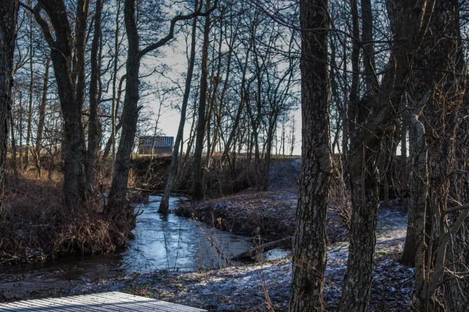 Seashore Holiday House