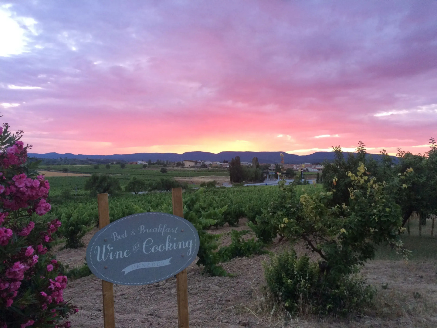 B&B Wine and Cooking Penedès