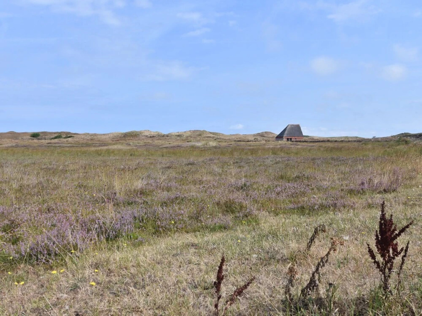 Bungalow in Texel Near National Park Dunes