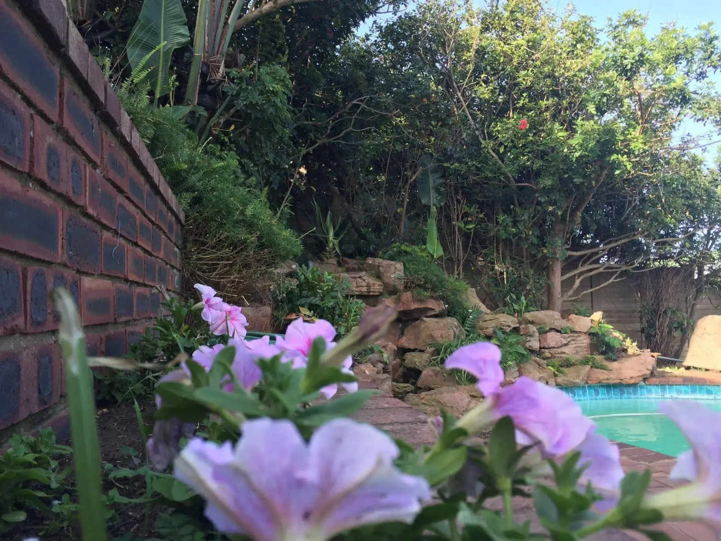 The Milkwood Beach Apartments