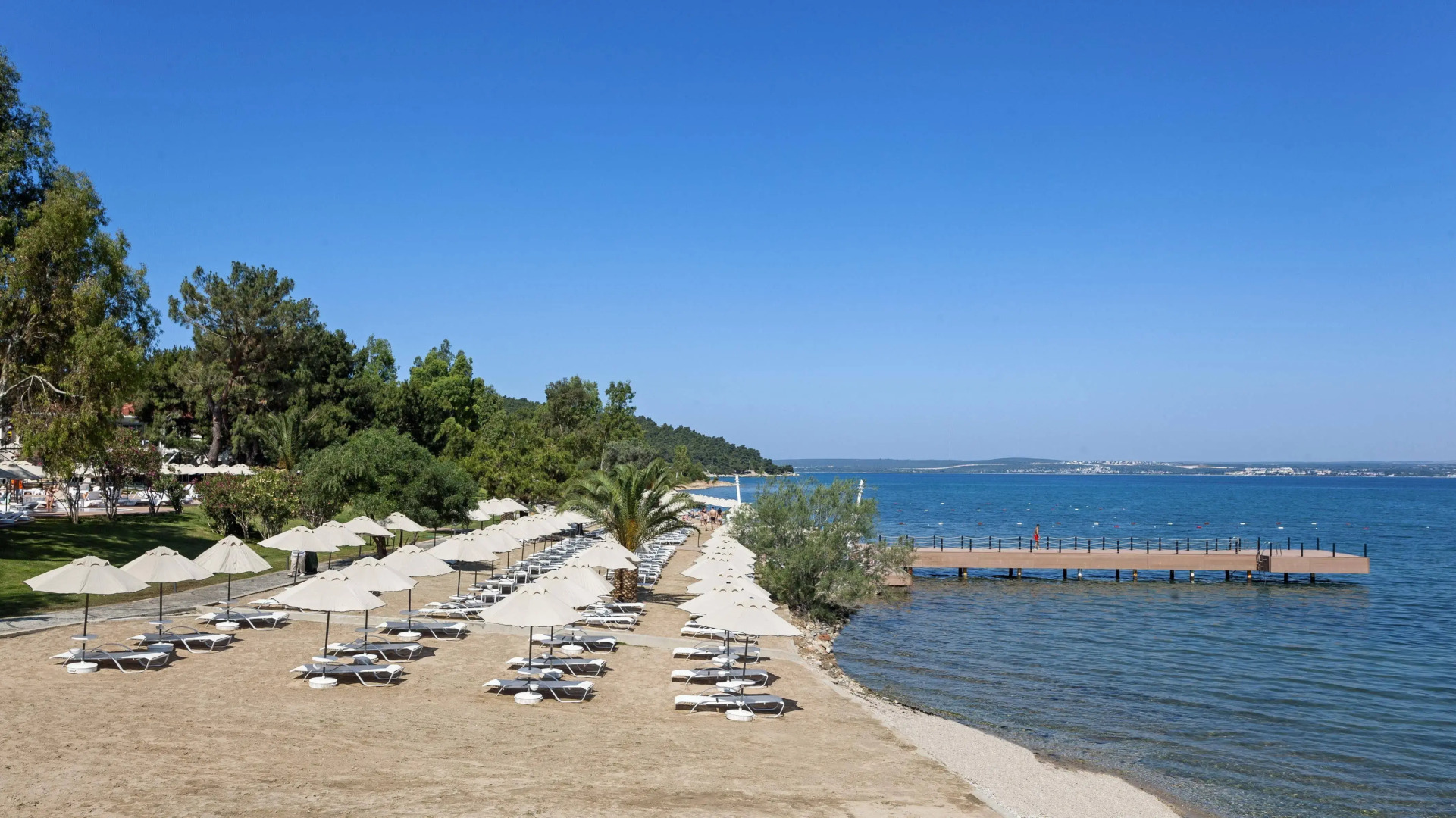 Long Beach Club Nature