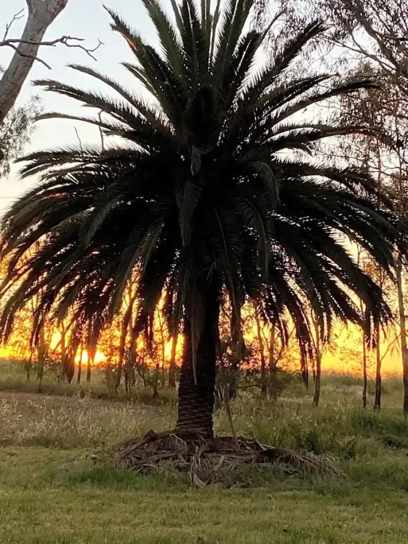 The Old Butter Factory at Springhurst Estate
