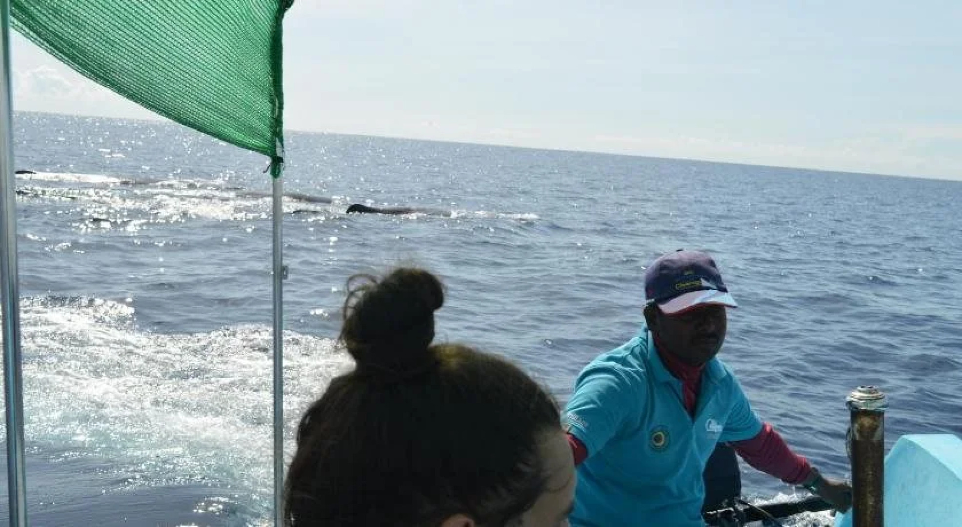 Dutch Bay Beach Cottages