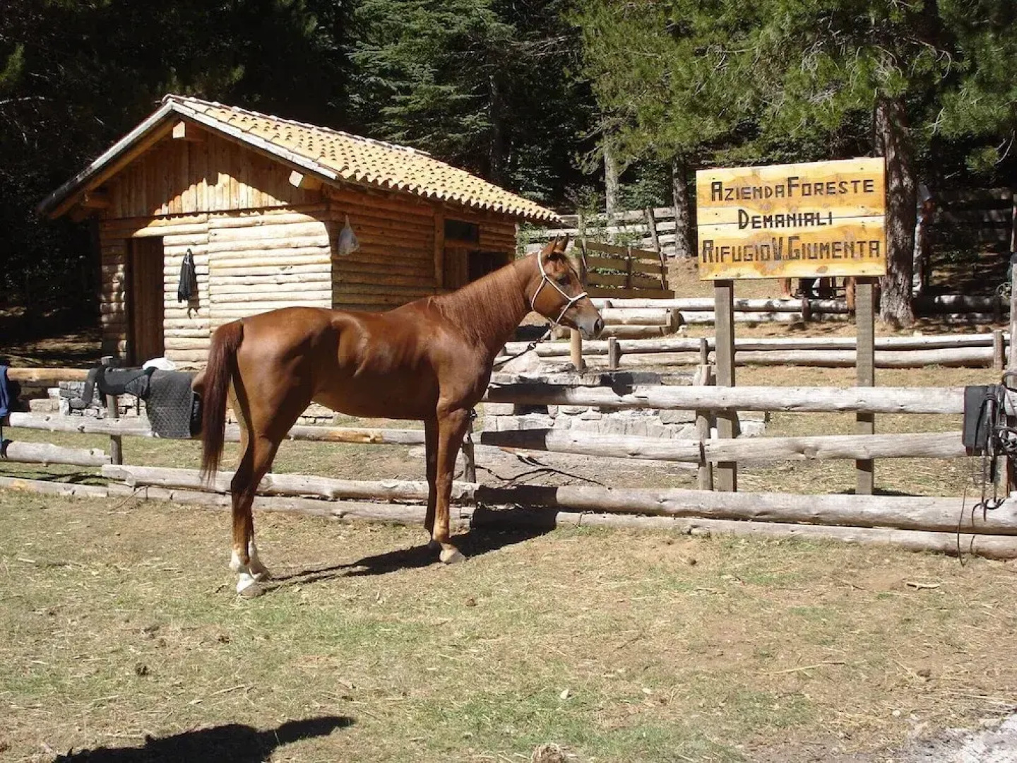 VersoEst Casa Vacanze