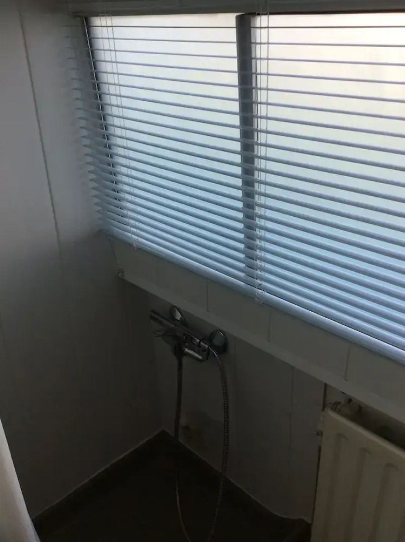 Penichette Oiseau Bleu