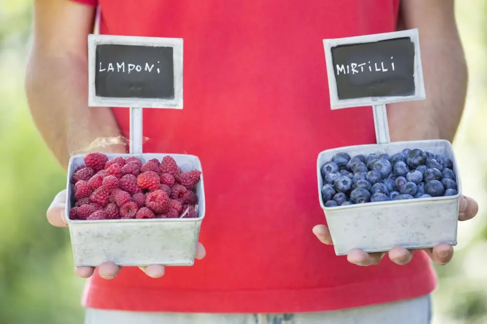 Agriturismo Rossolampone