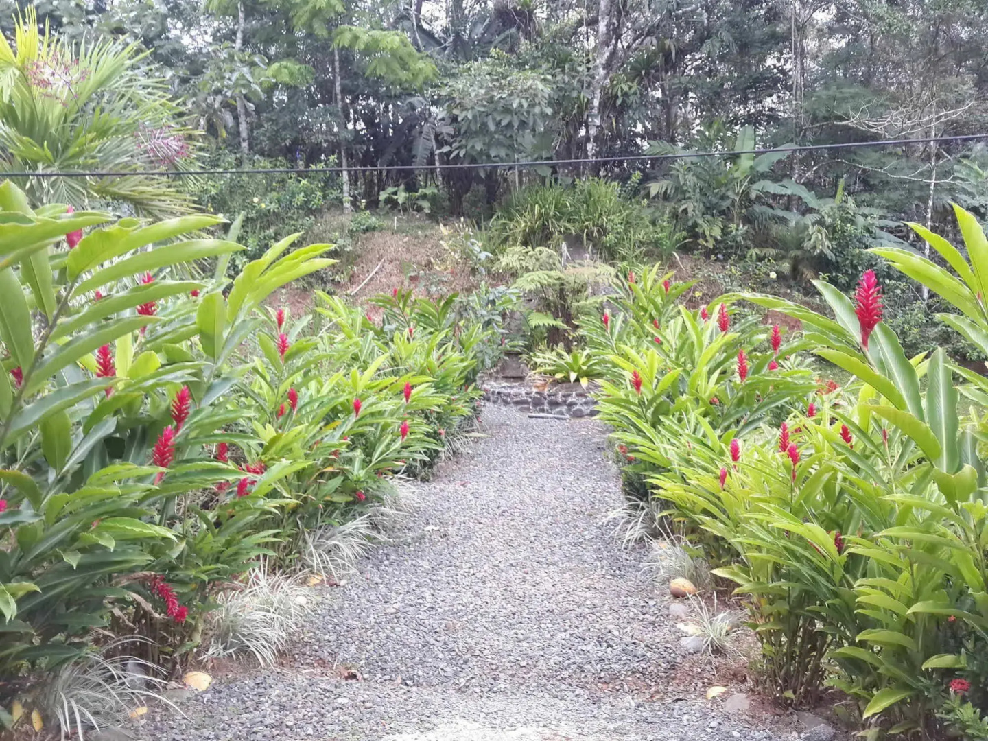 San Rafael Ecolodge
