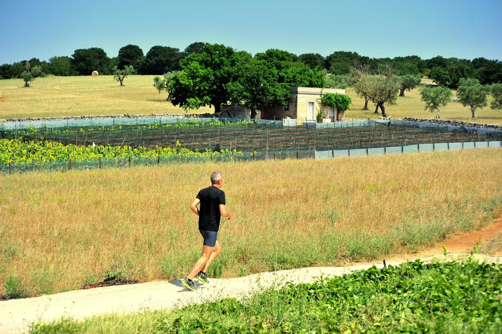 Victor Country Hotel