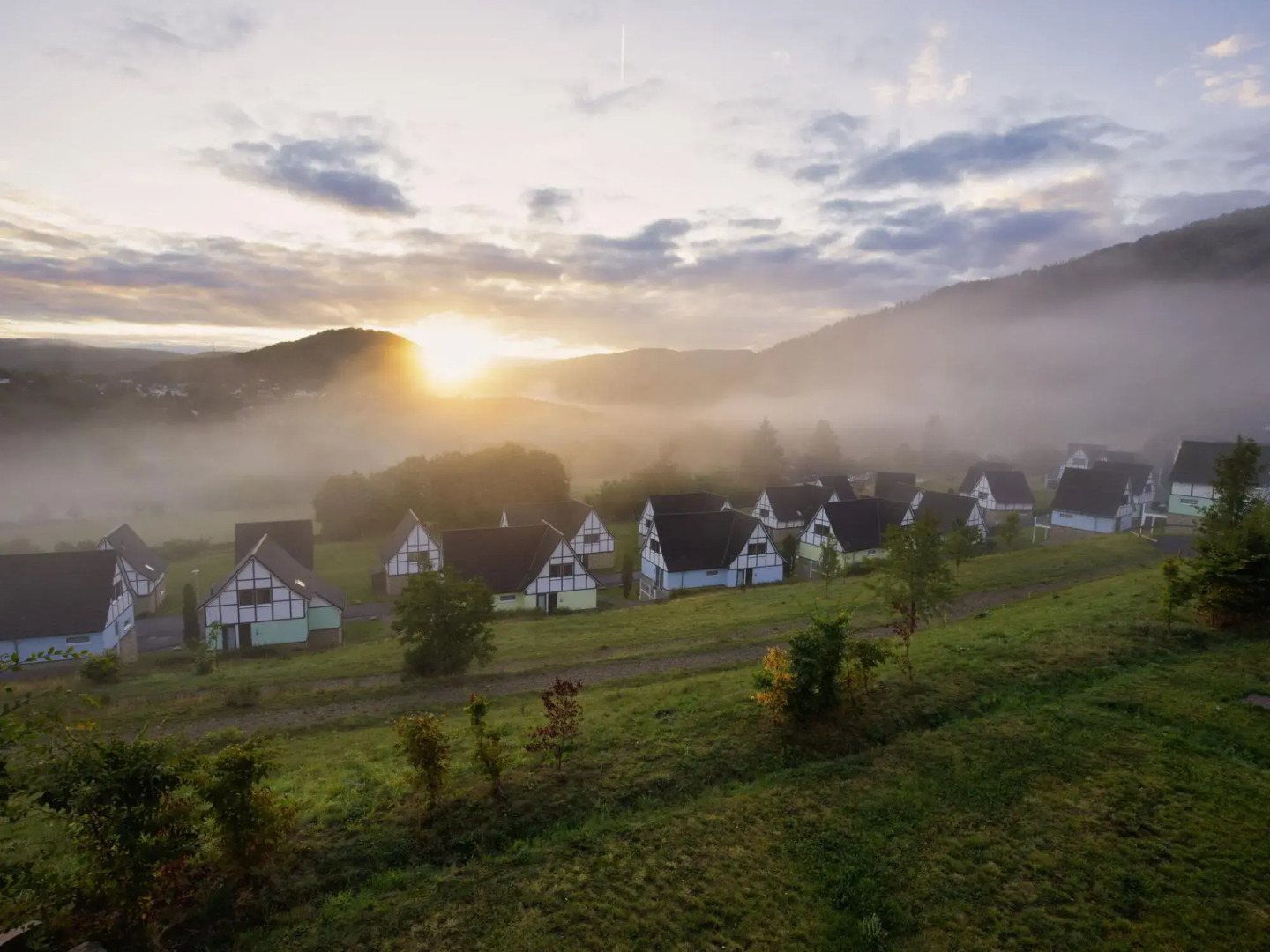 Modern Apartment With Dishwasher, in Nature