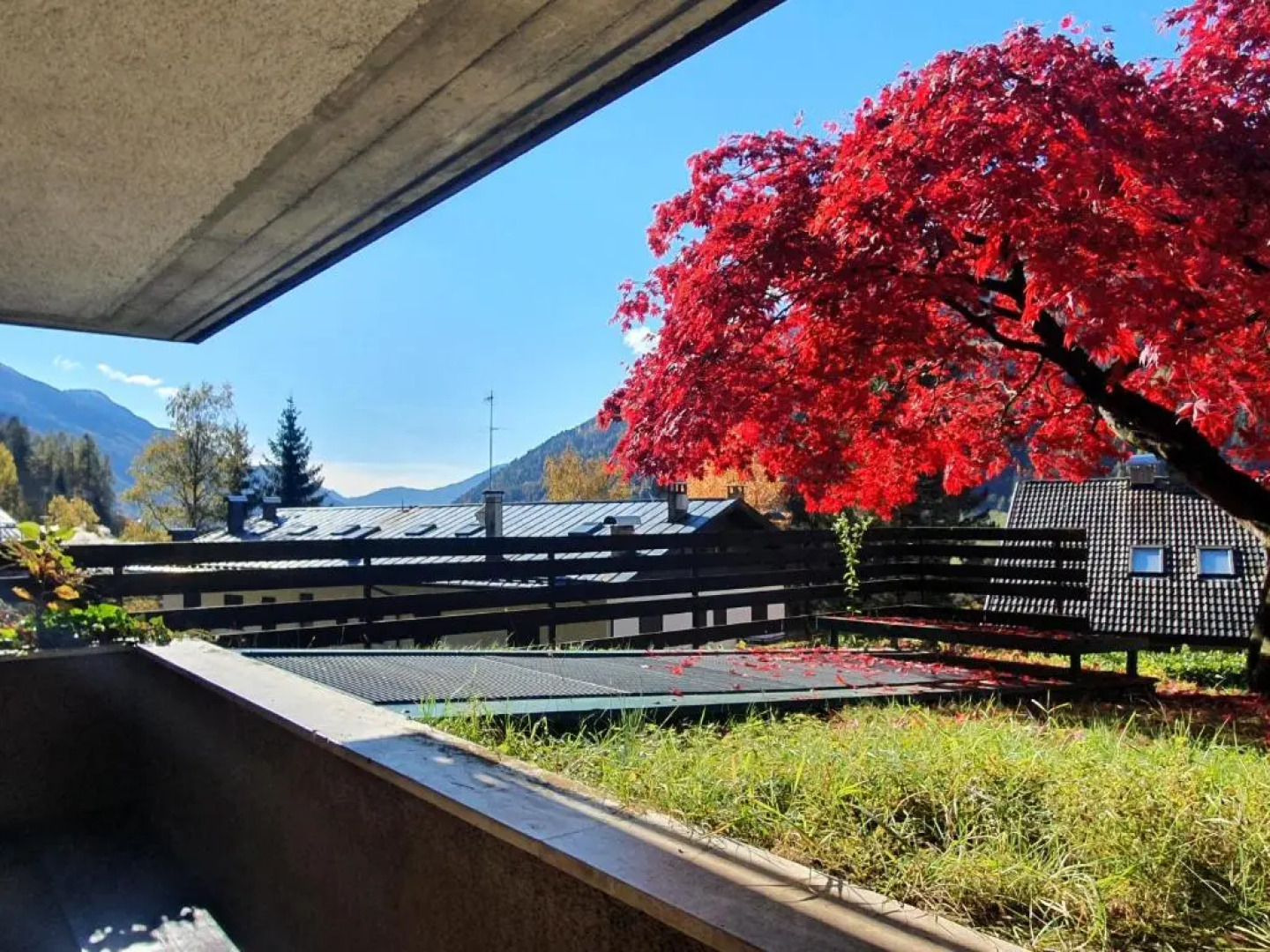 026 Bilocale con Caminetto Giustino