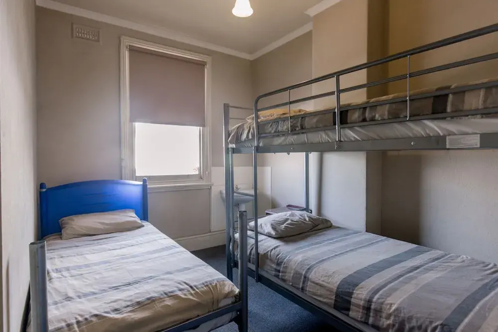 The Pickled Frog - Hostel