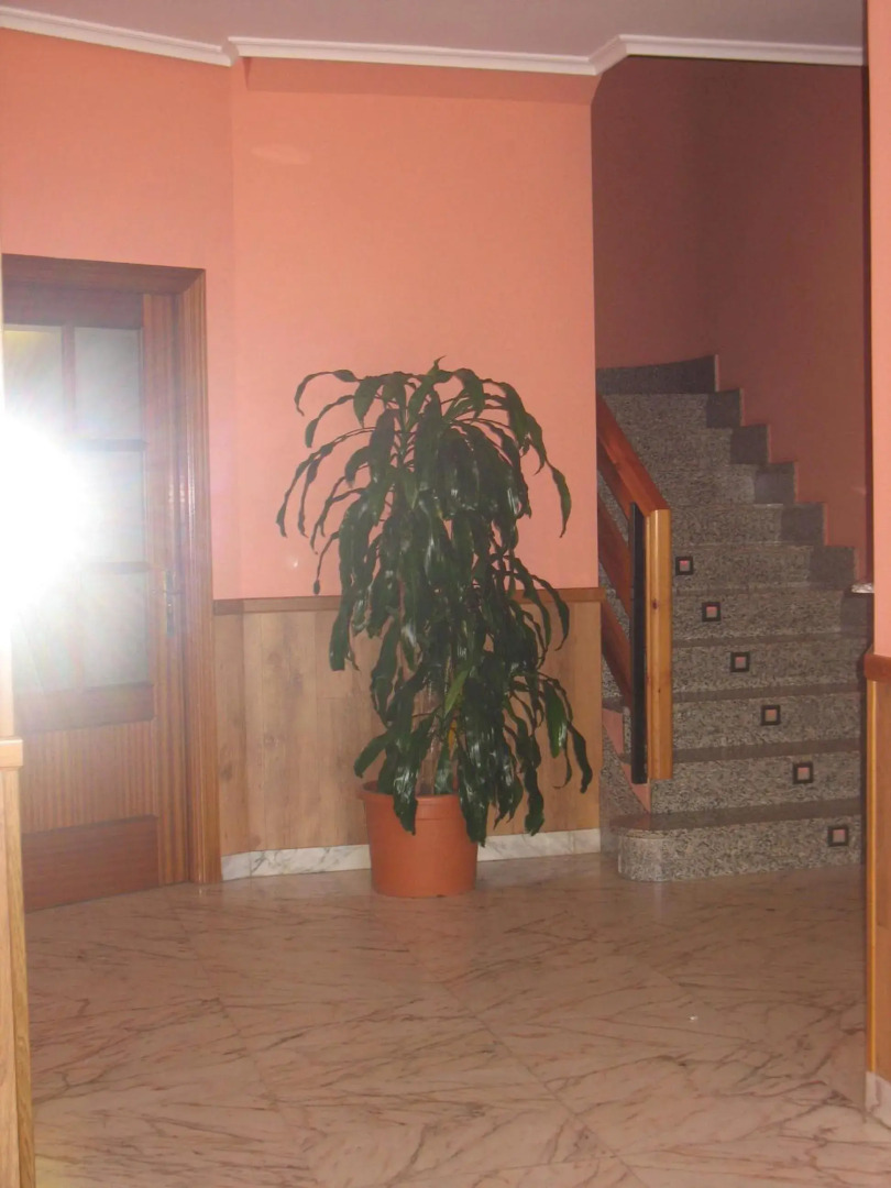 Hotel Reyes de León