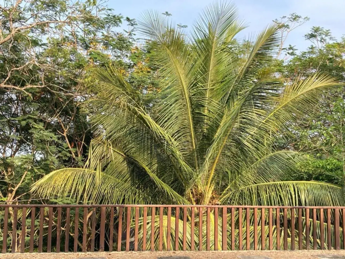 Eden Reverie Cabana And Spa