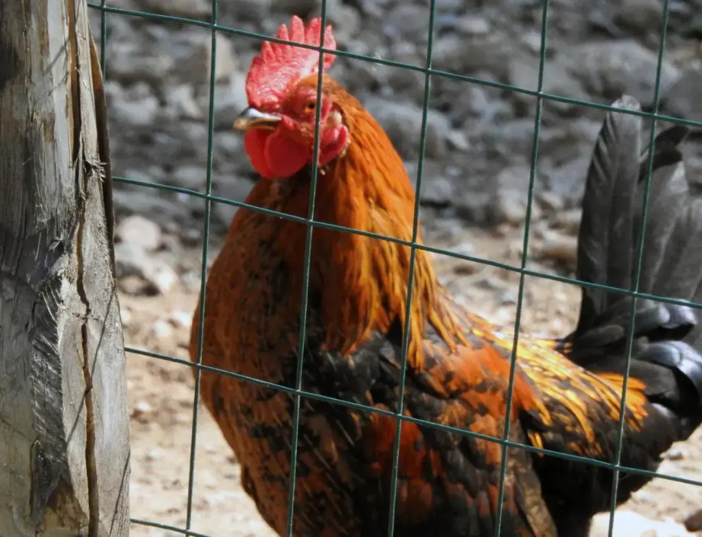 Agriturismo Agri Armonia