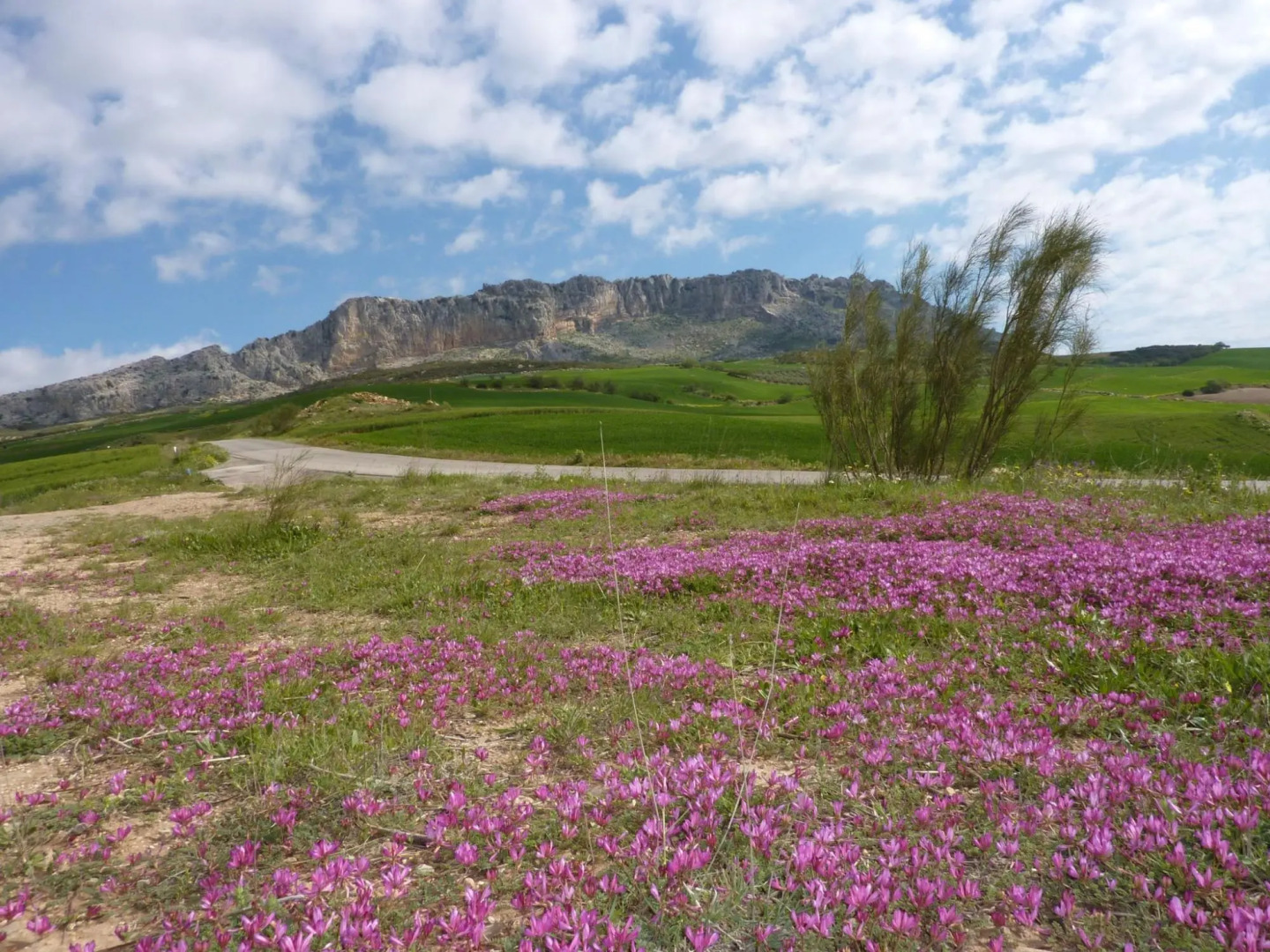 Pretty Cottage in Villanueva de la Concepcion with Pool