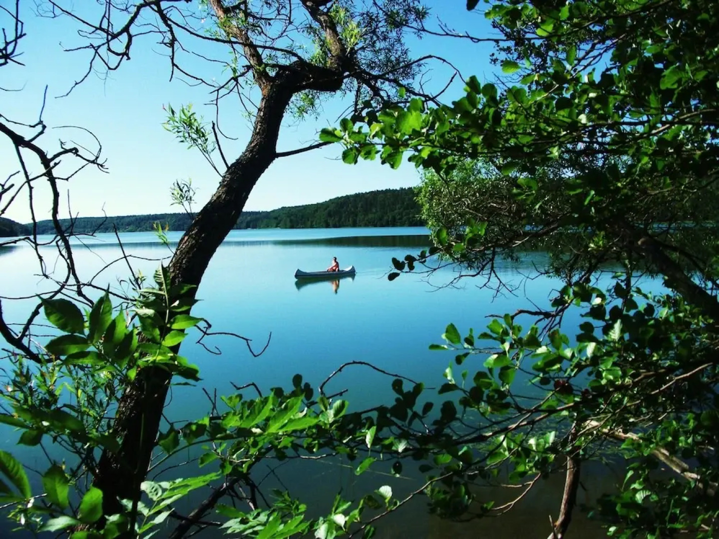 Woodstock B&B & Studio Apartments