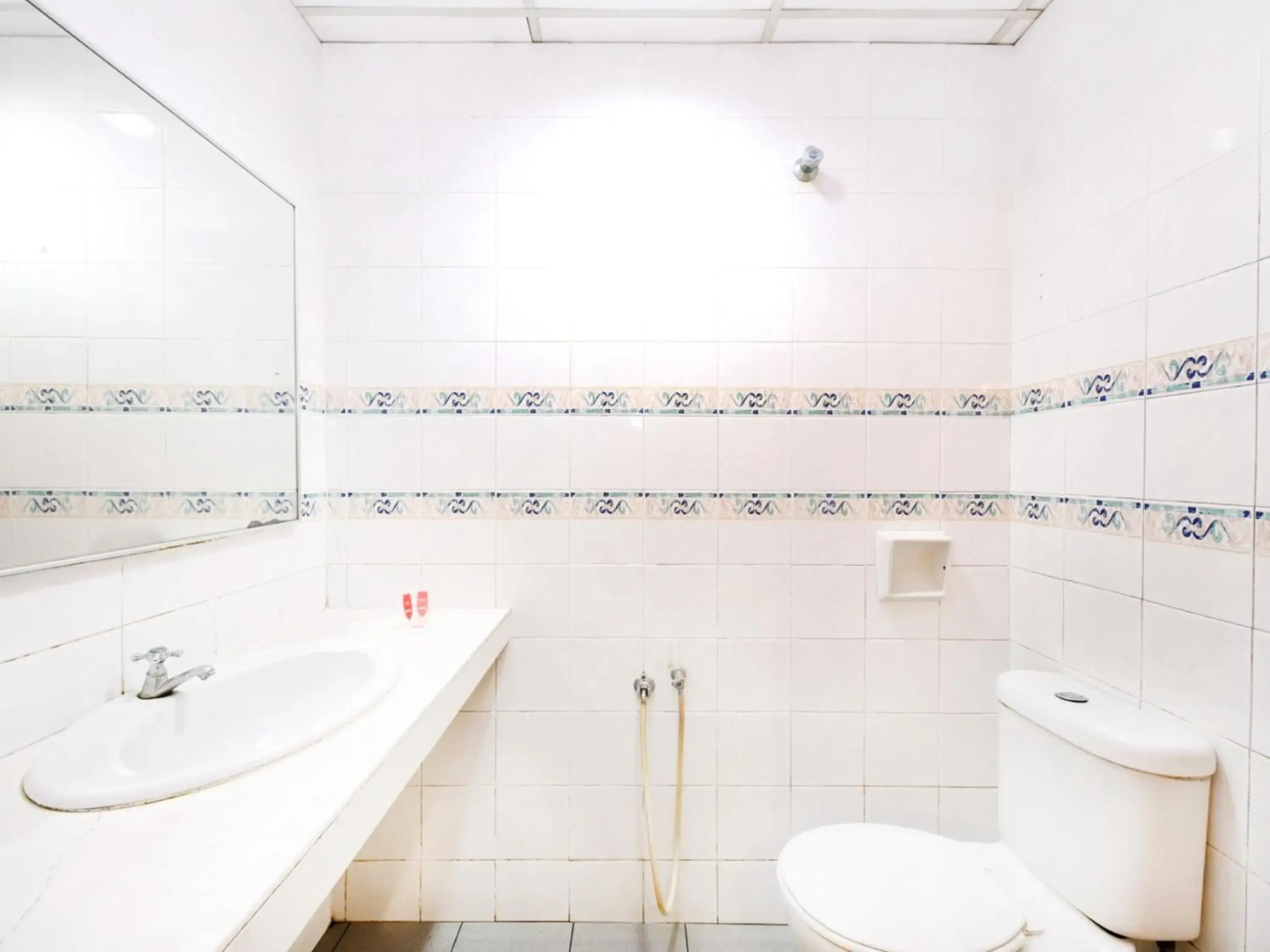 Super OYO 447 Comfort Hotel Meru