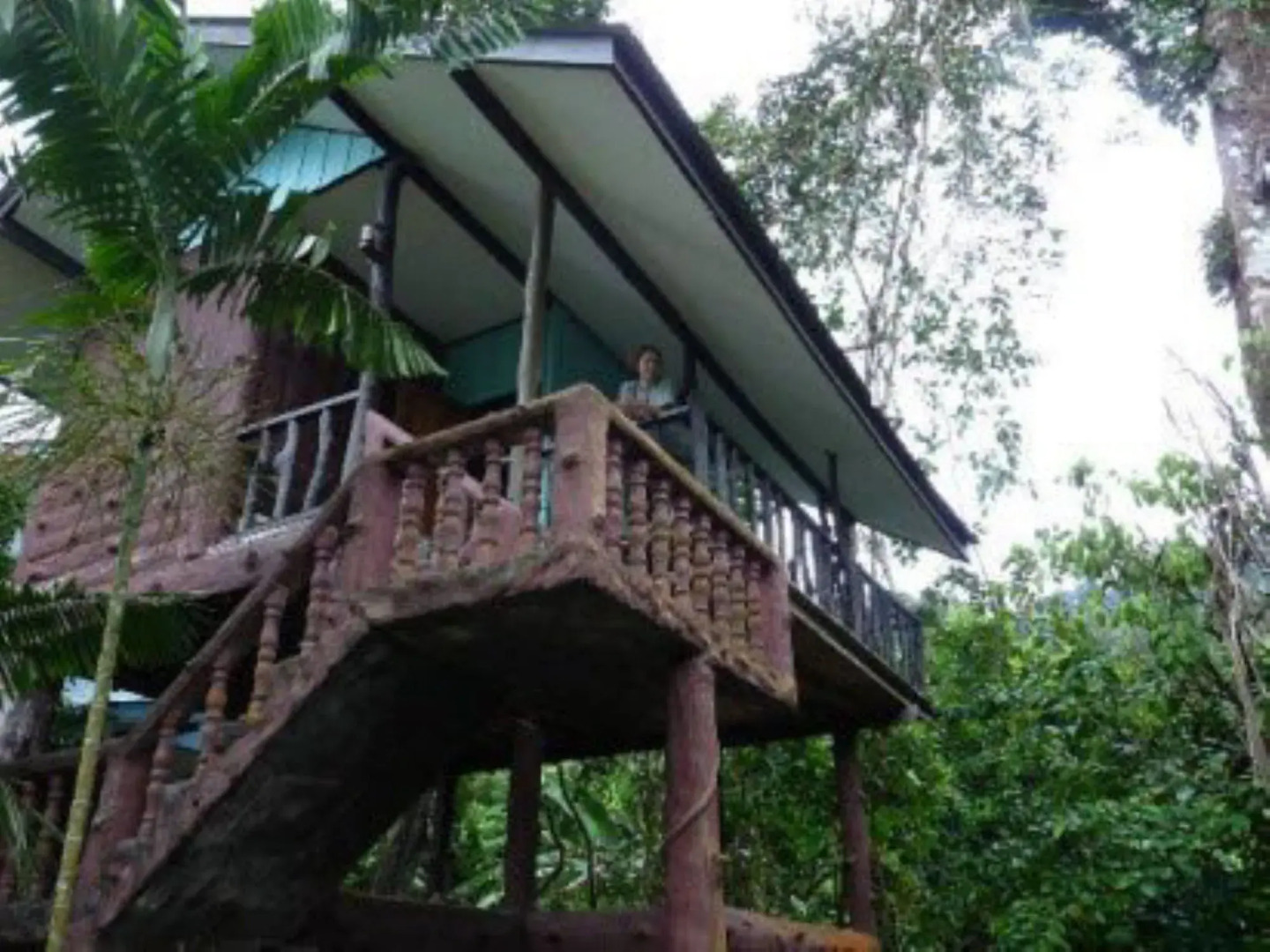 Tree Top River Huts