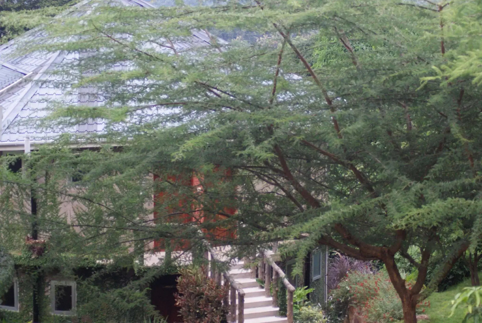 Udzungwa falls lodge