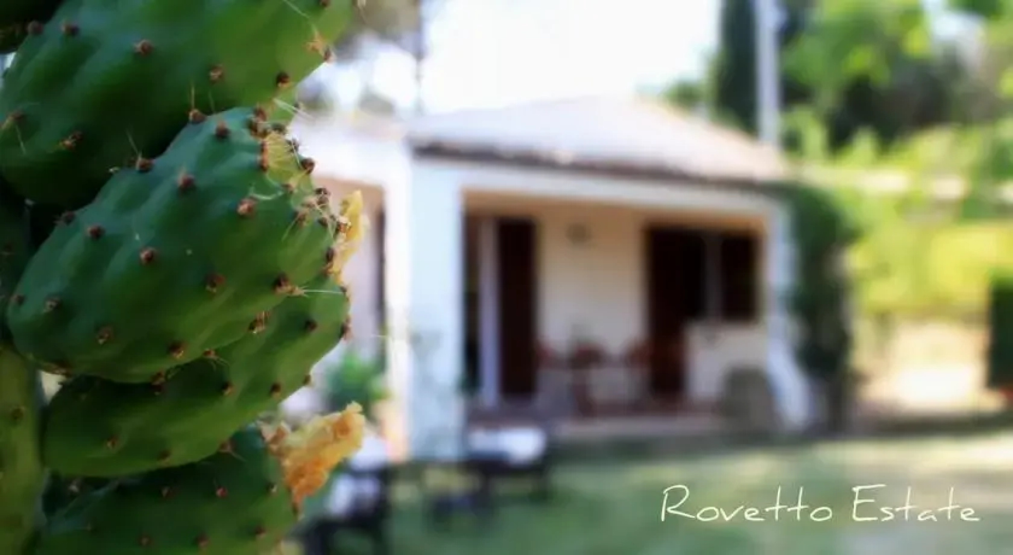 Rovetto Estate