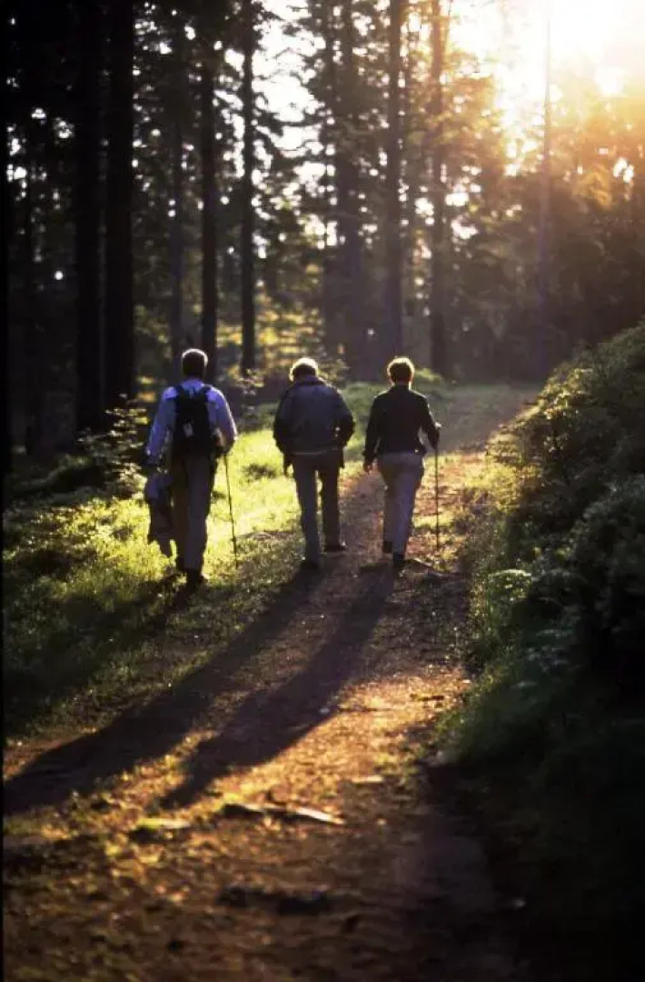 Ferien Residenz Bergfried