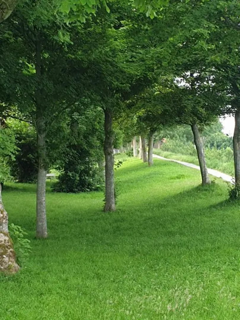 Appartement proche des remparts et tous commerces.