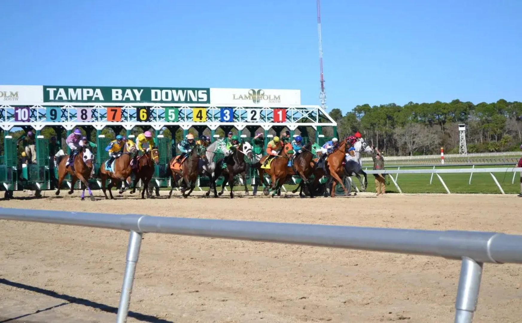 Holiday Inn Express Hotel & Suites Tampa Northwest - Oldsmar by IHG