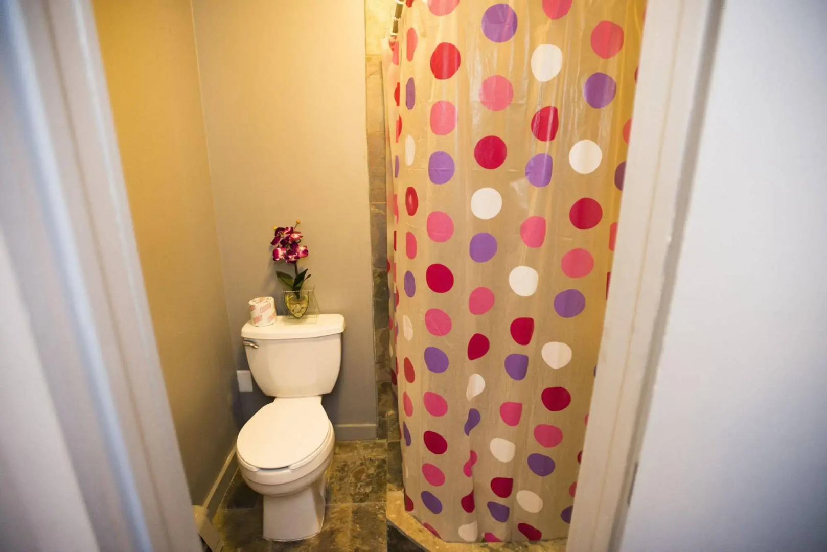 Explore Hotel and Hostel