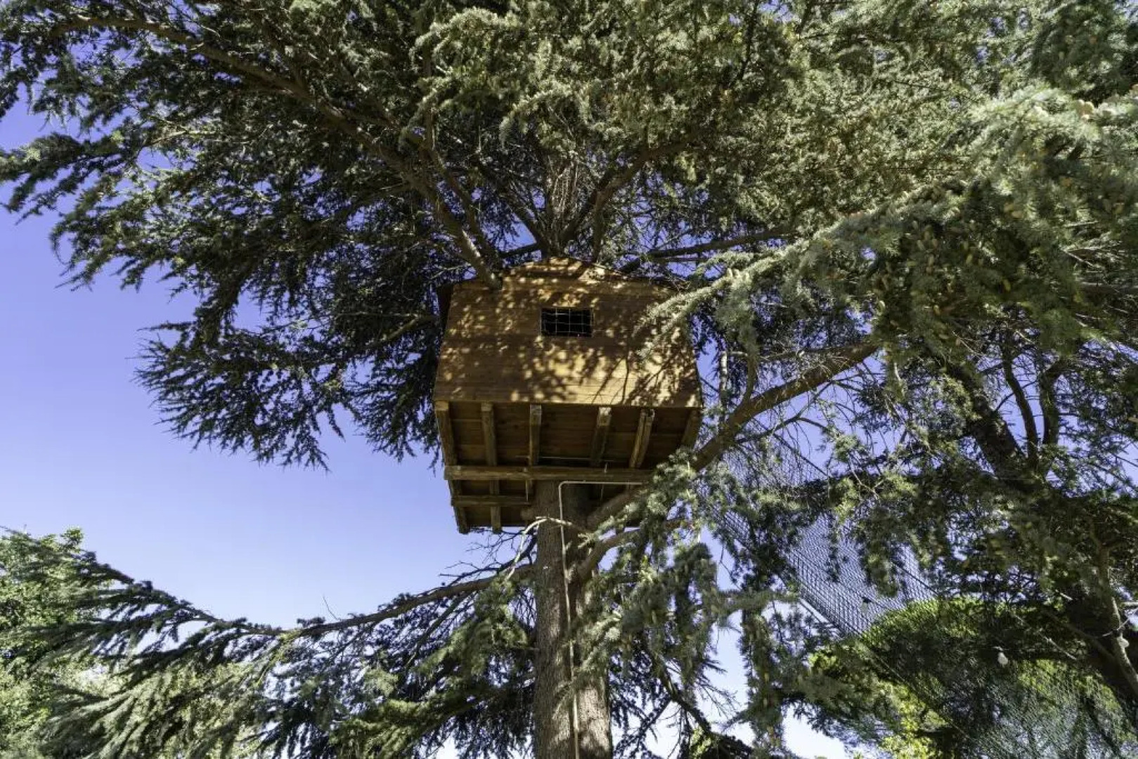 Villa Romeo with tree house