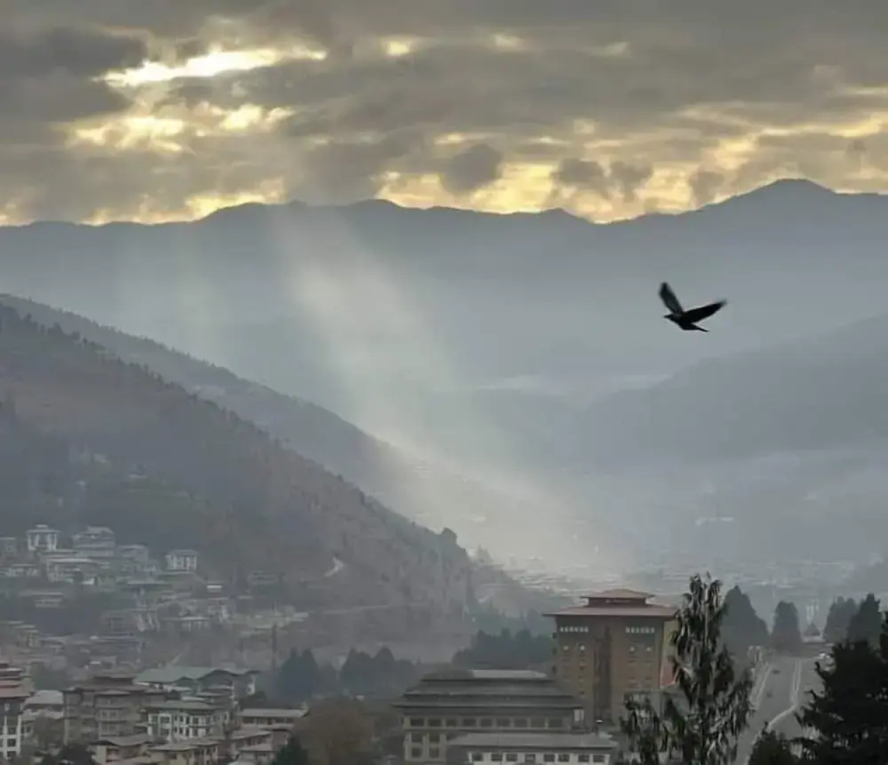 Bhutan Suites