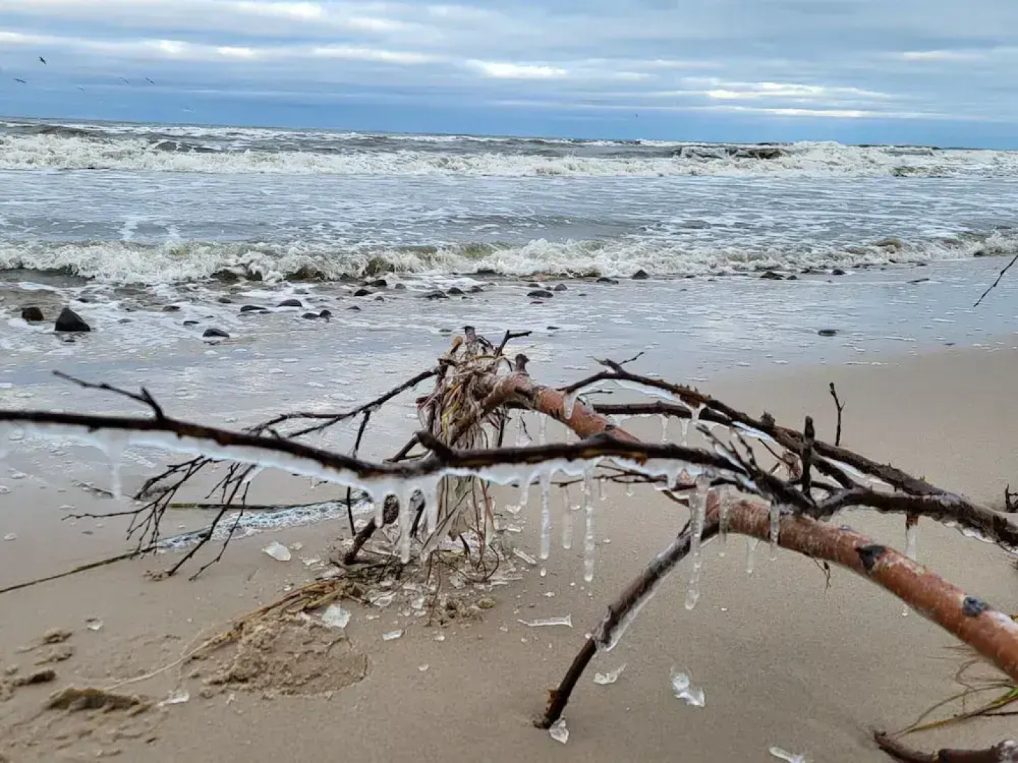 Fantastic House, Located Among Meadows and Nature, Near the Sea