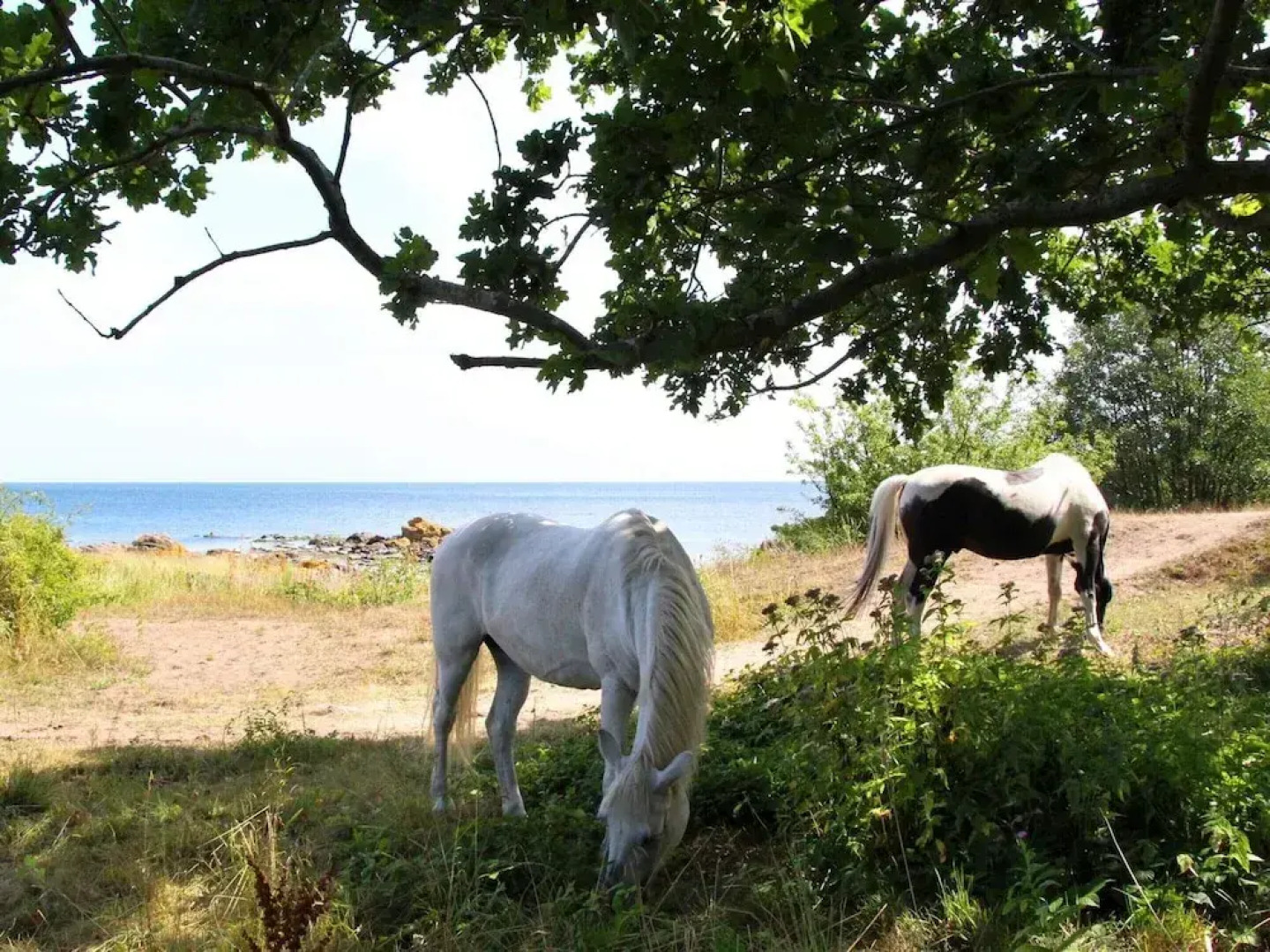 6 Person Holiday Home in Svaneke