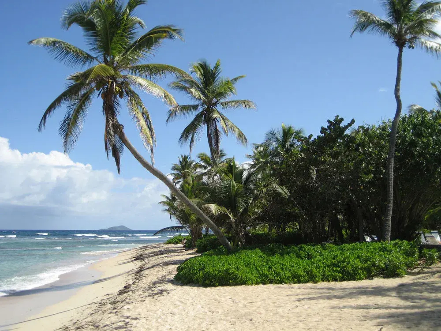 The Palms at Pelican Cove