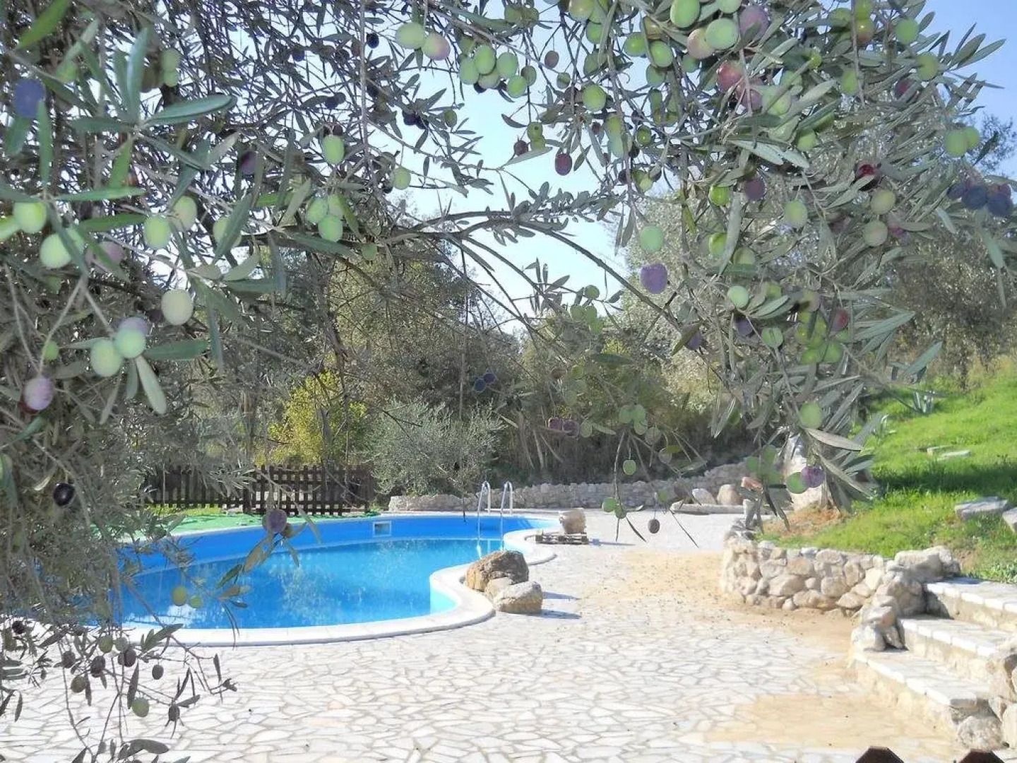 Mandria Del Dottore Toscano